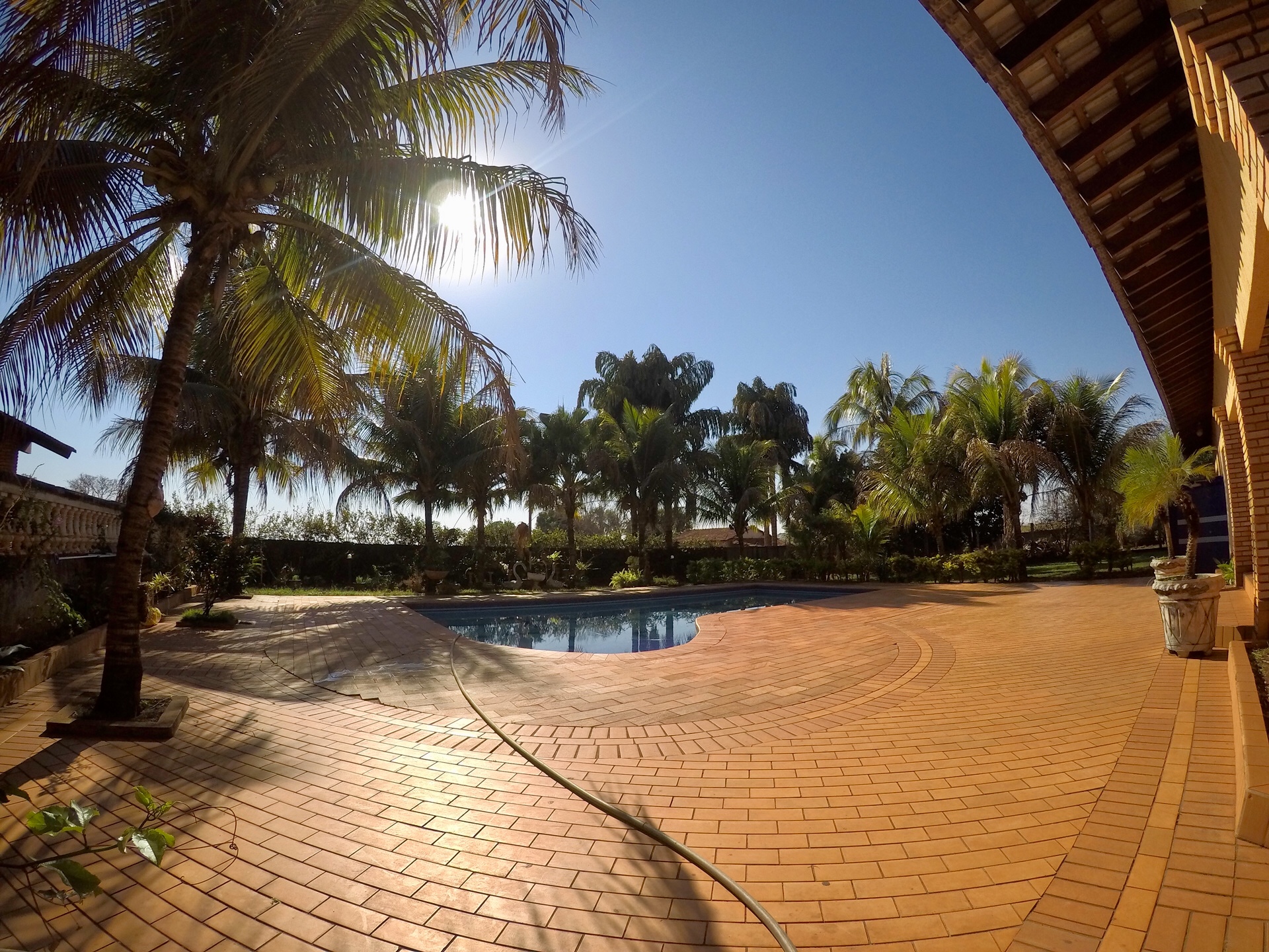 Vista da piscina com terraço e coqueiros ao redor